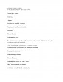 DISEÑADOR INSTRUCCIONAL