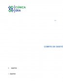 El comité de Gestión Ambiental CLINICA IZKA LTDA