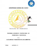 Alcalinidad y basicidad de los alimentos
