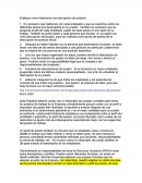 Explique cómo elaboraría una descripción de puestos