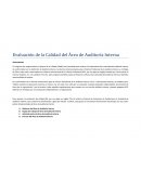 COMO HACER UNA AUDITORÍA DE CALIDAD (QA)