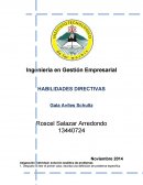 Solucion analitica de problemas