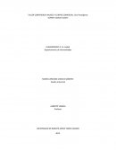 EL CENTRO COMERCIAL Y EL MUSEO