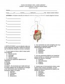 Examen de recuperación de biología primer grado