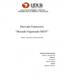 Derivado Financieros “Mercado Organizado MEFF”