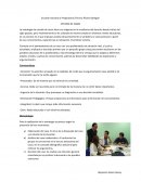 Escuela Industrial y Preparatoria Técnica Álvaro Obregón ESTUDIO DE CASOS