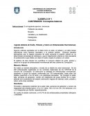 Ingesta dietaria de Sodio, Potasio y Calcio en Embarazadas Normotensas