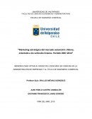 Marketing estratégico del mercado automotriz chileno, orientado a los vehículos livianos