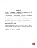 Fundamentos del comportamiento en grupo