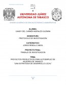 El nuevo Protocolo de Investigacion