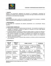 FUNCIONES Y RESPONSABILIDADES RESIDENTE SISO. Página 1