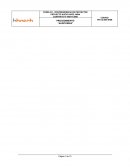 Procedimiento de Auditorias. El Programa de Auditorías