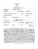 MODELO DE CONTRATO, CONTRATO INDIVIDUAL DE TRABAJO