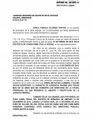 Formato desahogo de vista de Amparo indirecto