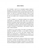 Marco teórico tecnología