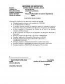 INFORME DE SERVICIOS