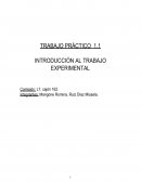 INTRODUCCIÓN AL TRABAJO EXPERIMENTAL