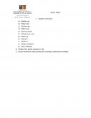 Guia fisica ingenieria industrial