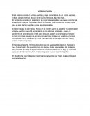 Laboratorio de lingo