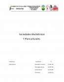 Sociedades Multiétnicas Y Pluriculturales