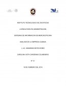 EL SISTEMA DE INFORMACION DE MARKETING EN UNA EMPRESA CUBANA