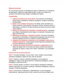 Adaptar la tecnología a las necesidades