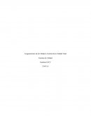 Aseguramiento de la Calidad o Control de la Calidad Total