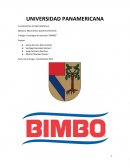 Empresa bimbo mercadotecnia