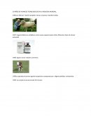 20 años de avances tecnologicos en la biologia mundial