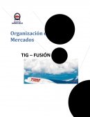 TIG – FUSIÓN LATAM