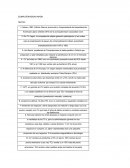 Computervision Japon