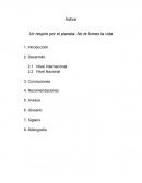 Un respiro por el planeta: No te fumes la vida