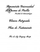 Plan de Tratamiento Lesiones cariosas en los órganos dentarios