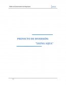 Proyecto de Inversión Sauna