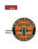 Objetivos del servicio social