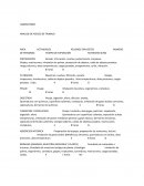 Analisis de trabajo seguro