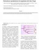 Practica Laboratorio Hongos