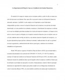 Ensayo Flujo de Caja