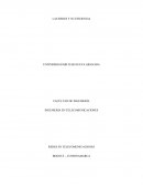 Proyecto de investigación de redes