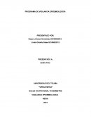 PROGRAMA DE VIGILANCIA EPIDEMIOLOGÍCA