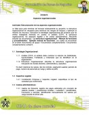 Actividad: Estructuración de los aspectos organizacionales