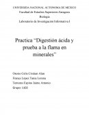Laboratorio de Investigación Informativa I Practica “Digestión ácida y prueba a la flama en minerales”