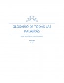 GLOSARIO