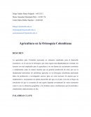 Agricultura en la Orinoquia Colombiana