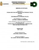 DISTRIBUIDOR AUTORIZADO TELCEL