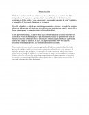 Los papales de trabajo e informe en la auditoría financiera