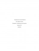 Presupuesto de Costo de Producción