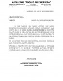 Carta de recomendacion