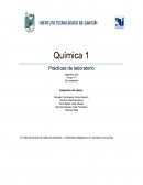 Quimuica Prácticas de laboratorio
