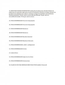 ENFERMEDADES DEL LULO — Presentation Transcript. Página 6